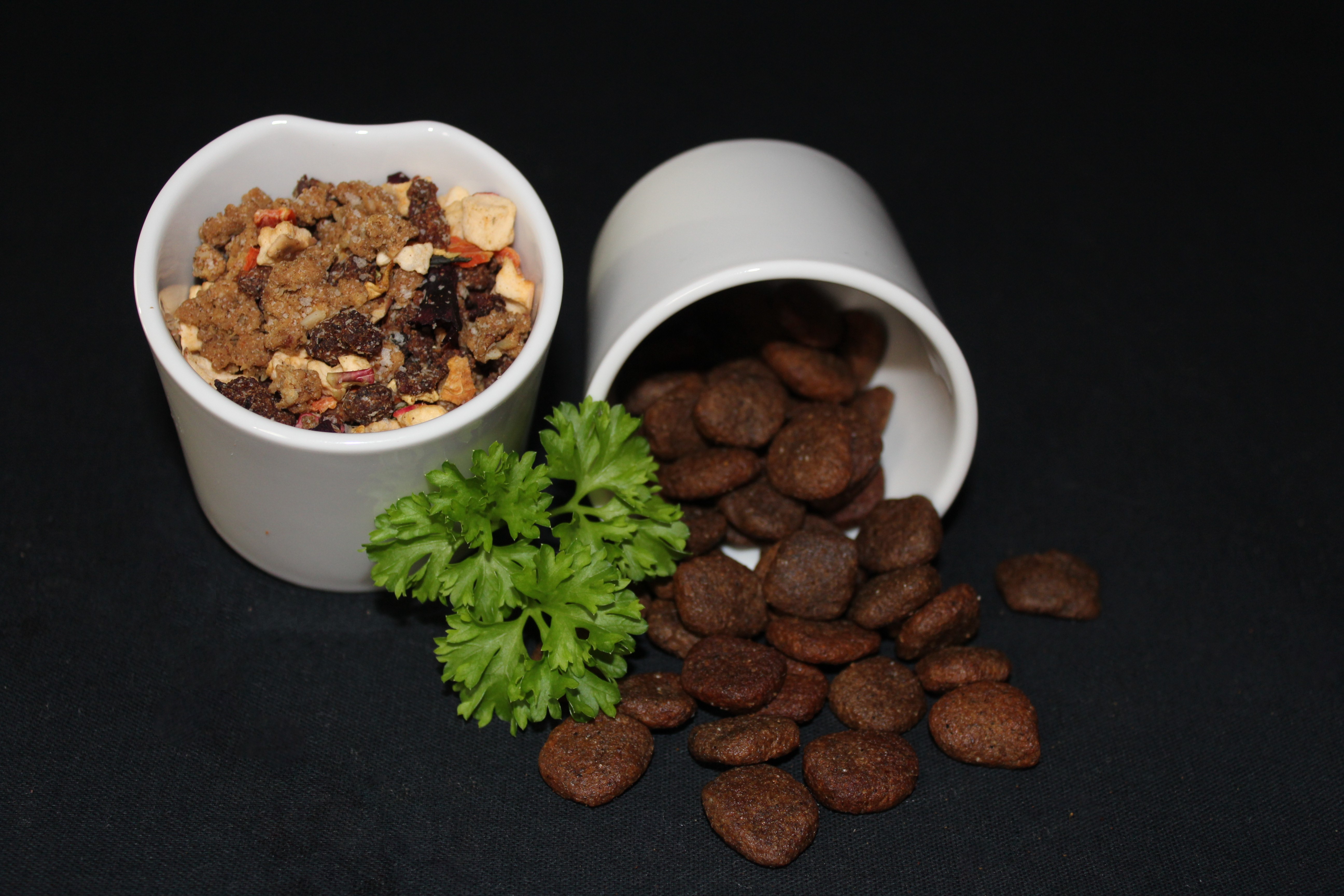 Hund mit natürlichem Futter